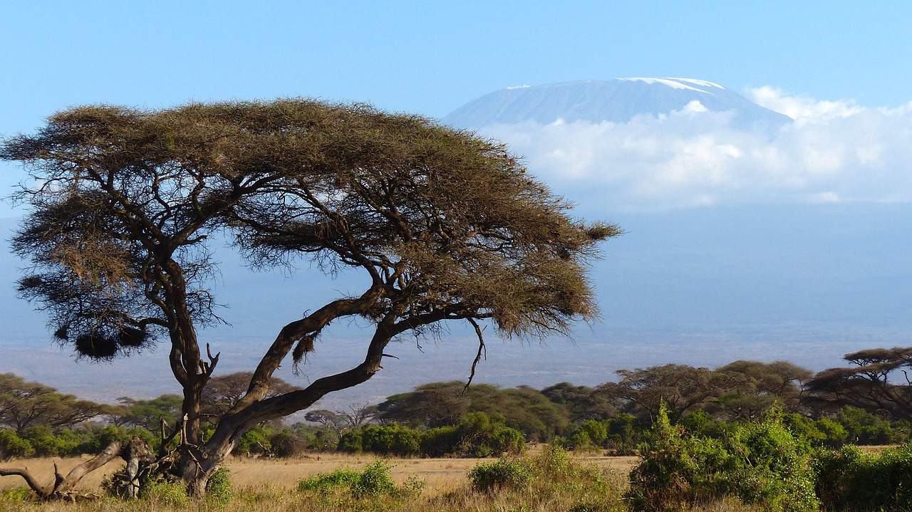 eVisa Kenya