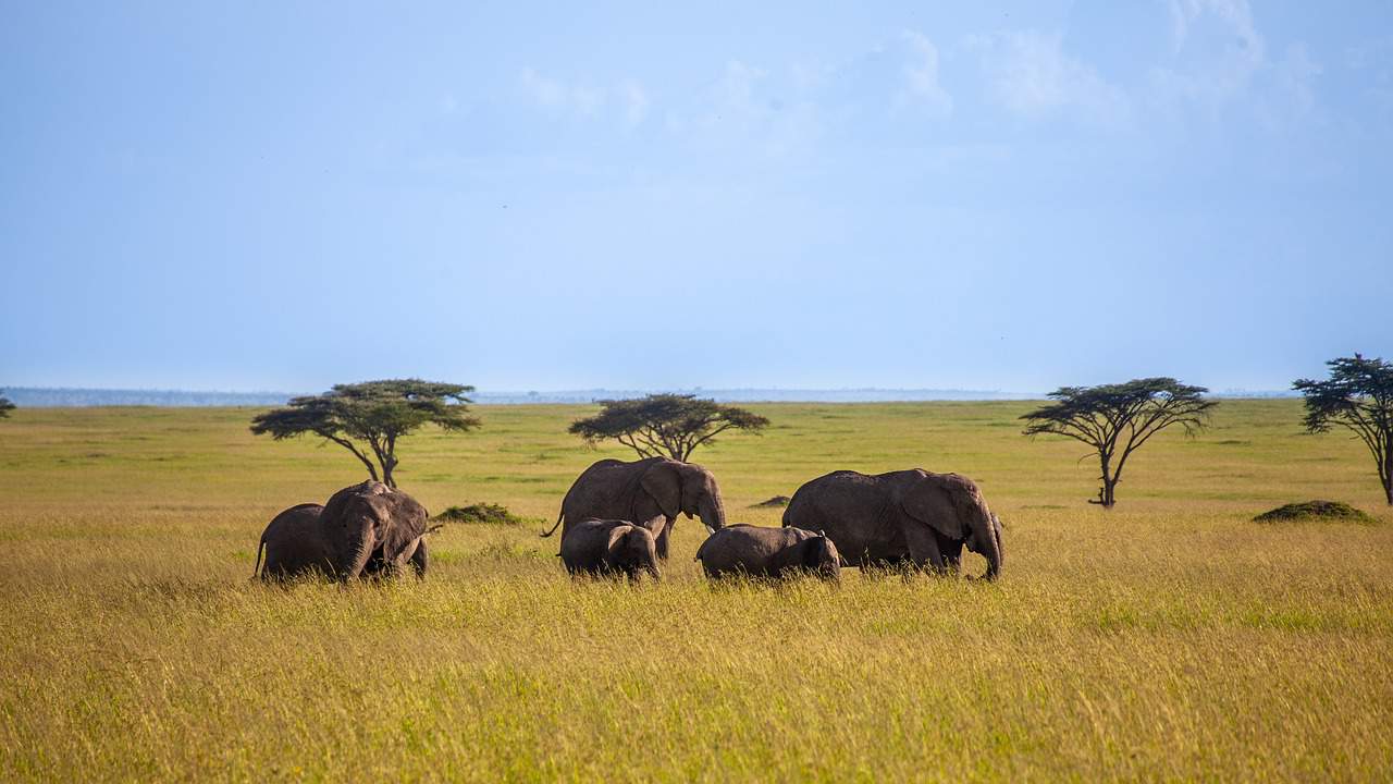 visa to Kenya
