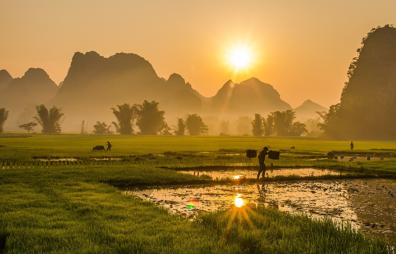 eVisa Vietnam